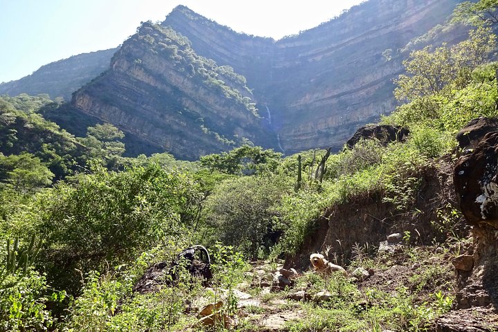 Eco Walk: The Royal Road To Cabrera