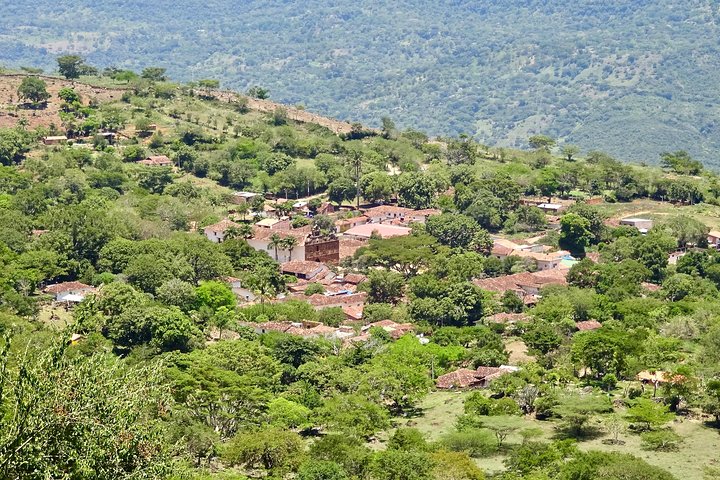 Eco Walk: The Royal Road To Cabrera