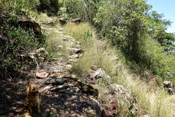 Eco Walk: The Royal Road To Cabrera