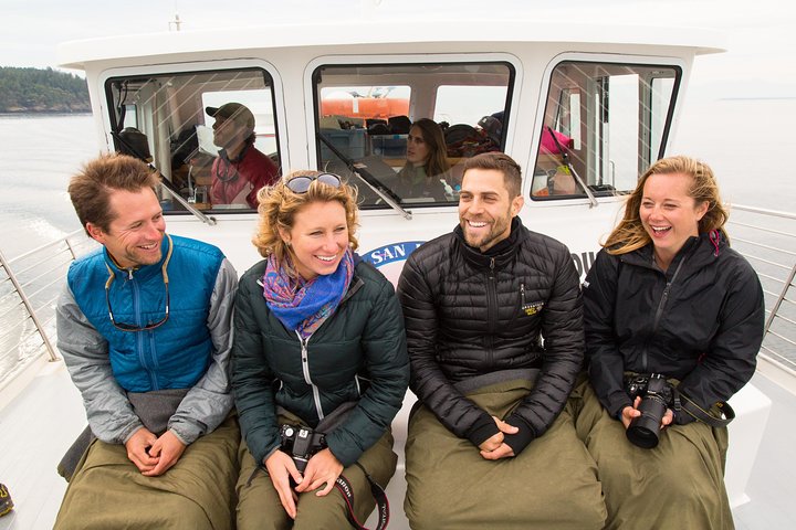 Whale Watching from Friday Harbor