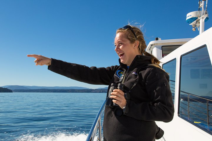 Whale Watching from Friday Harbor
