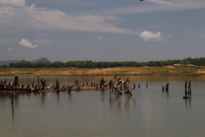 Live among swimming elephants and indigenous tribes – Gal Oya National Park