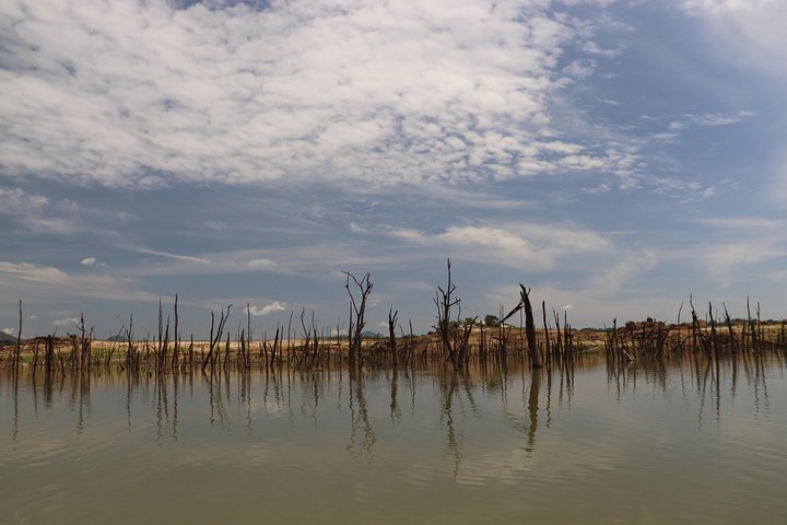 Live among swimming elephants and indigenous tribes – Gal Oya National Park