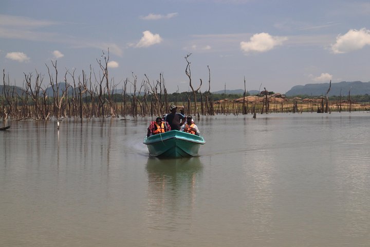 Live among swimming elephants and indigenous tribes – Gal Oya National Park