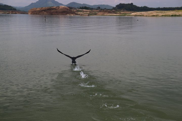 Live among swimming elephants and indigenous tribes – Gal Oya National Park
