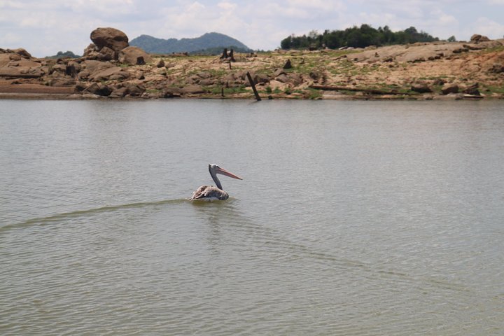 Live among swimming elephants and indigenous tribes – Gal Oya National Park