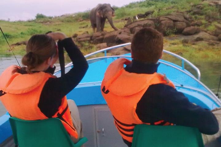 Live among swimming elephants and indigenous tribes – Gal Oya National Park