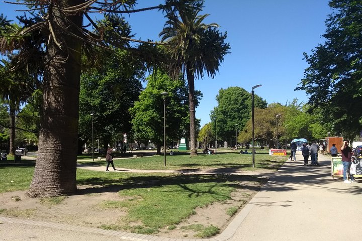 Walking Tour around Concepcion City Centre