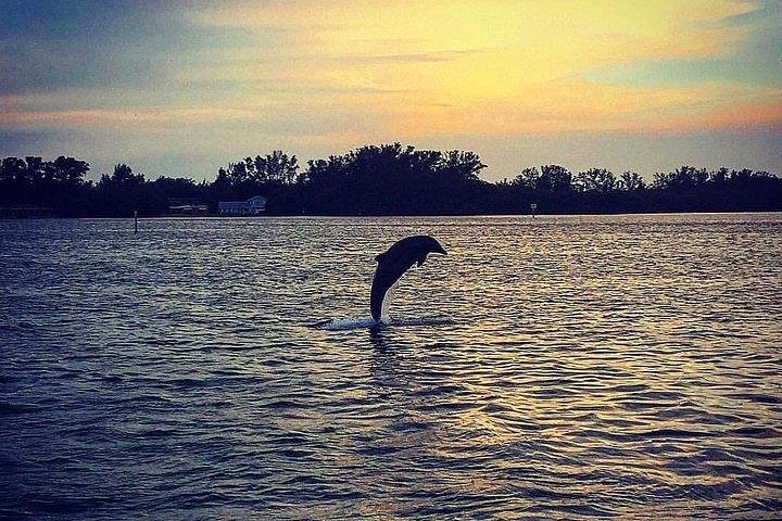 Anna Maria Island Dolphin Sunset Boat Tour