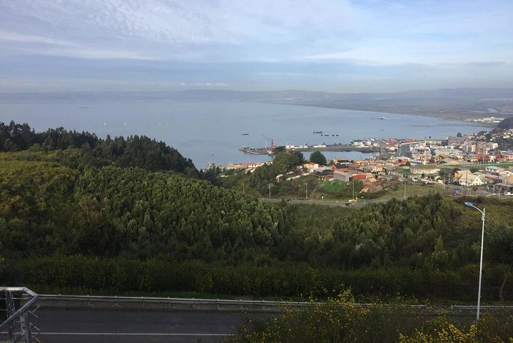 Tour around the Port of Talcahuano