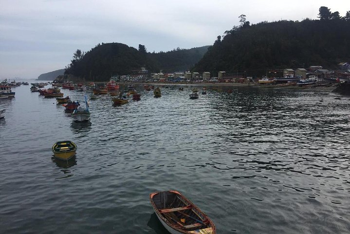 Tour around the Port of Talcahuano