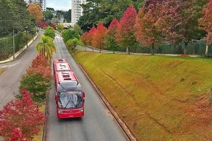 Private City Tour - Top Postcards from Curitiba by Pinheiro Turismo
