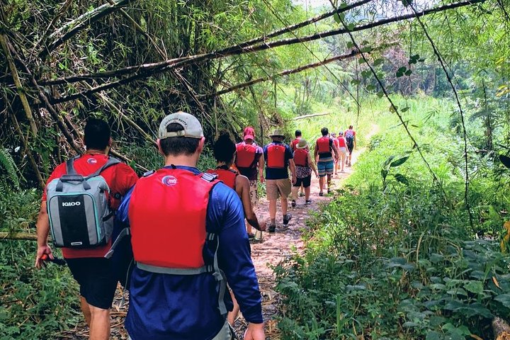 Two-in-One Day Trip: El Yunque and Bio Bay Tour with Transport