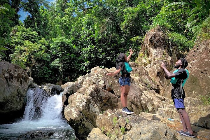 Two-in-One Day Trip: El Yunque and Bio Bay Tour with Transport