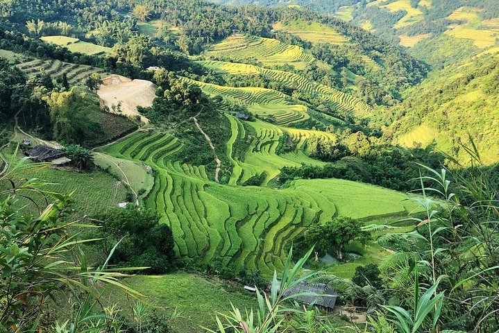 Ha Giang Loop Private Motobike Tour - 4 Days and 3 Nights!