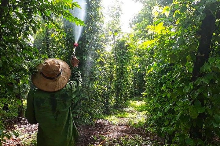 Cooking, Farming and Waterfall In Vietnam Countryside