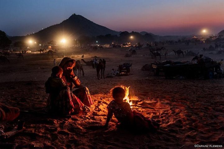Overnight Camel Safari with Camping