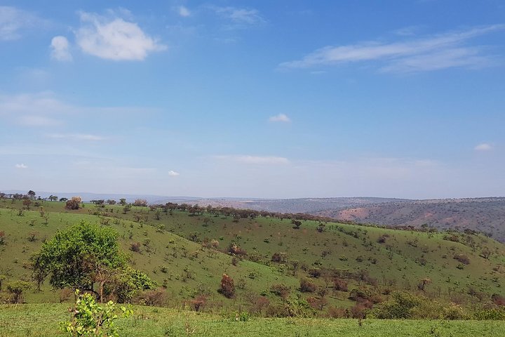 One-day Akagera National Park Game Drive with a Choice 4x4