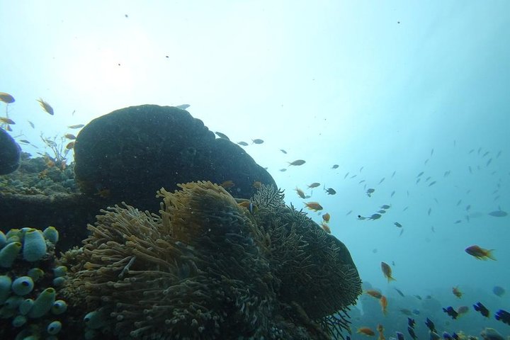 The Best Of Maldives For Solo Traveler
