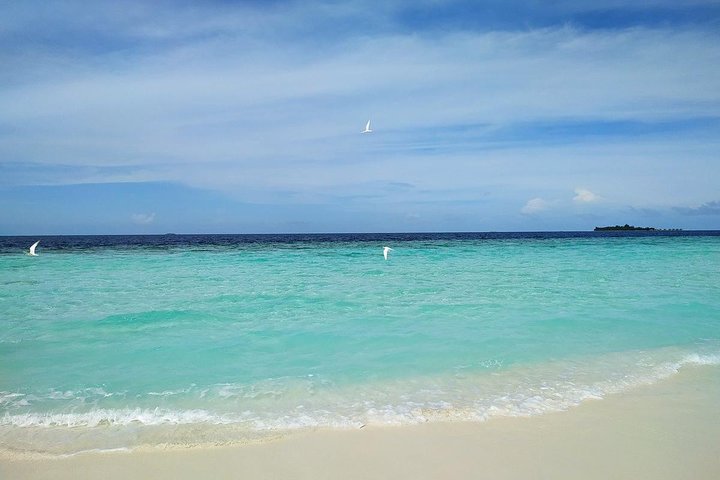 The Best Of Maldives For Solo Traveler