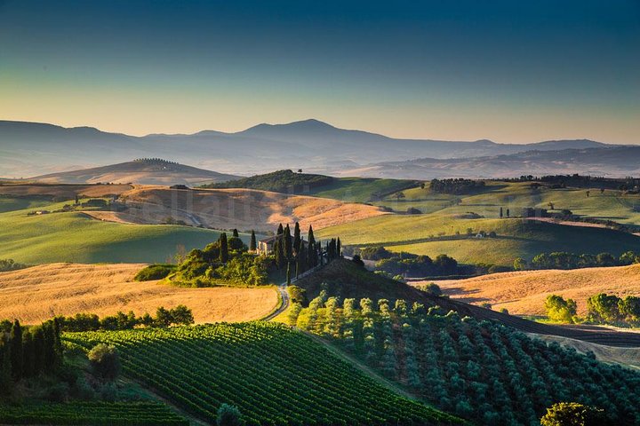 Bella Toscana - San Gimignano plus 2 Chianti Wineries and lunch