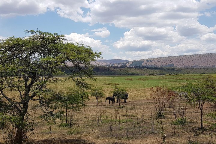 One-day Akagera National Park Game Drive with a Choice 4x4