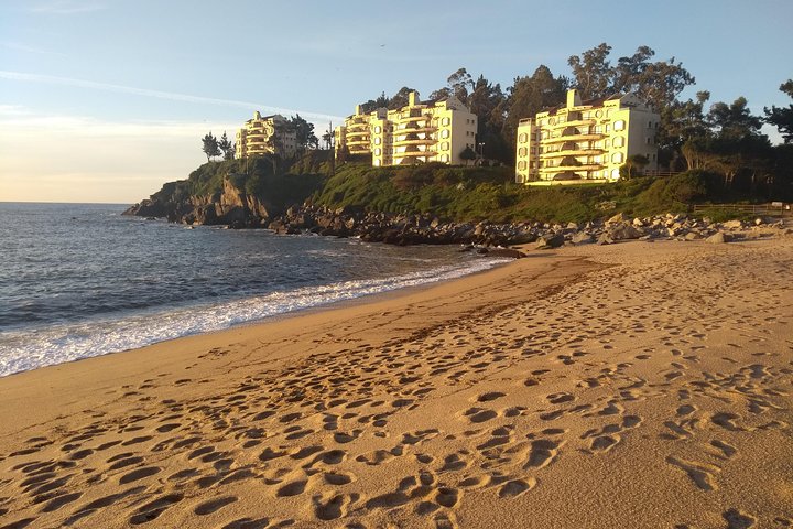 Tour around the Coast Towns in Tomé & Dichato