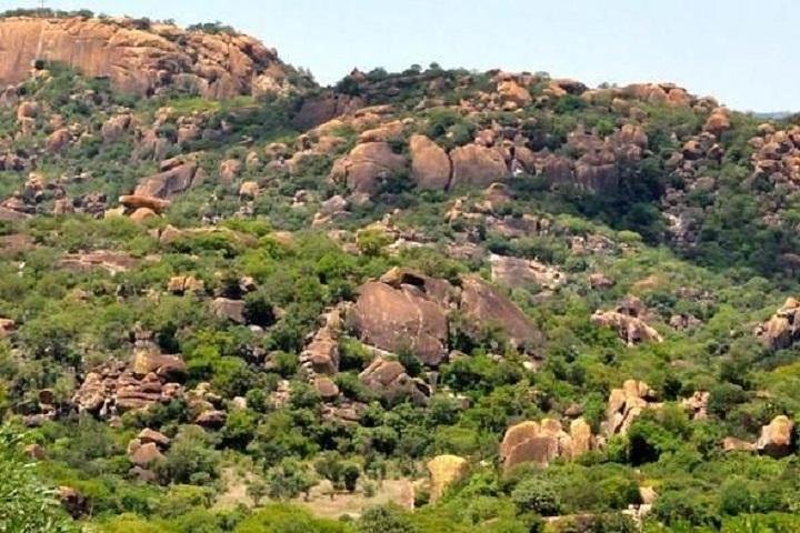 Matopos Park Day Game Drive With Rhino Tracking!