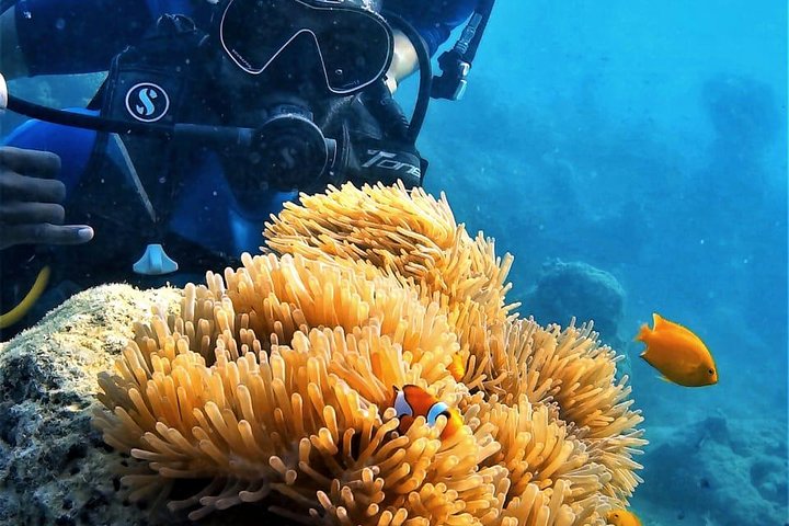 Scuba Diving For Non Swimmers at Havelock Island