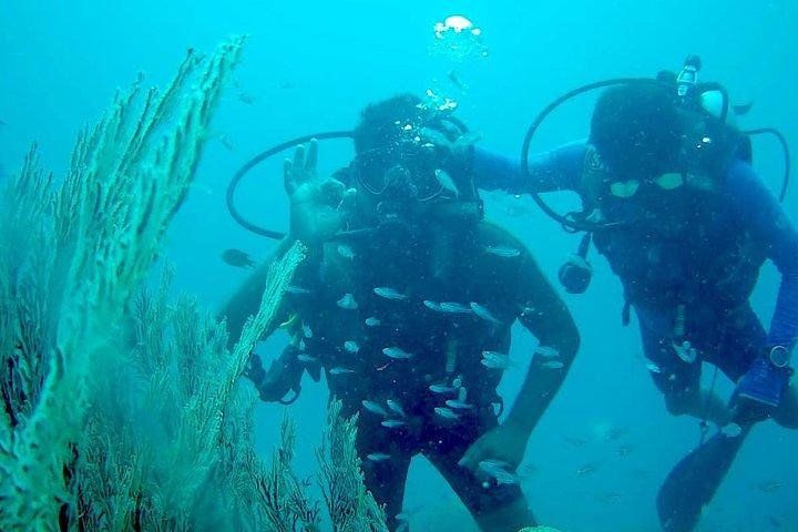 Scuba Diving For Non Swimmers at Havelock Island