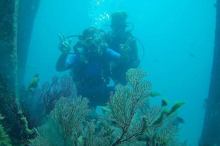 Scuba Diving For Non Swimmers at Havelock Island