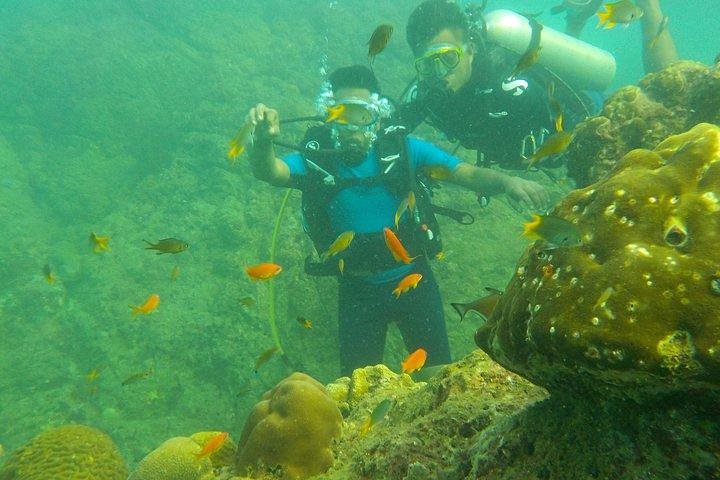 Scuba Diving For Non Swimmers at Havelock Island