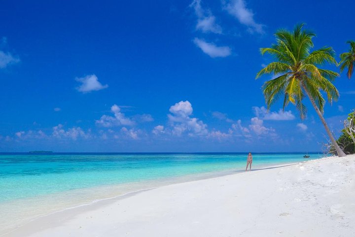 The Best of Maldives for Families