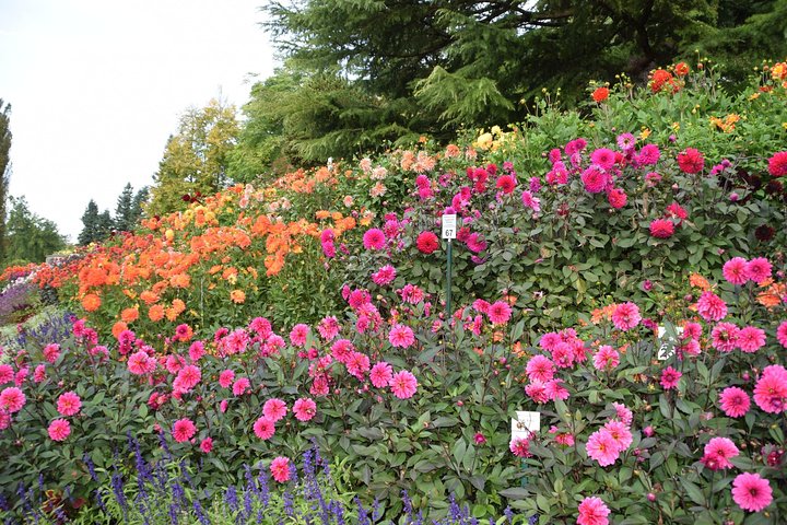 Day Trip Flower Island of Mainau including Meersburg