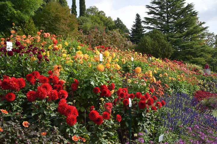 Day Trip Flower Island of Mainau including Meersburg