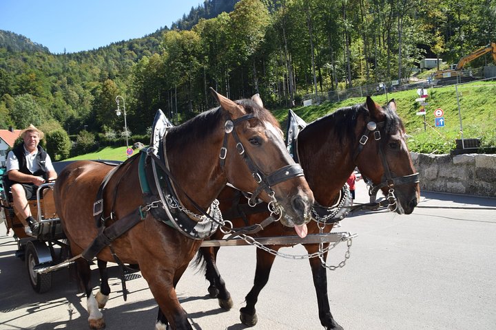 Private Guided Day Trip to Castle Neuschwanstein incl. Carriage Horse Ride