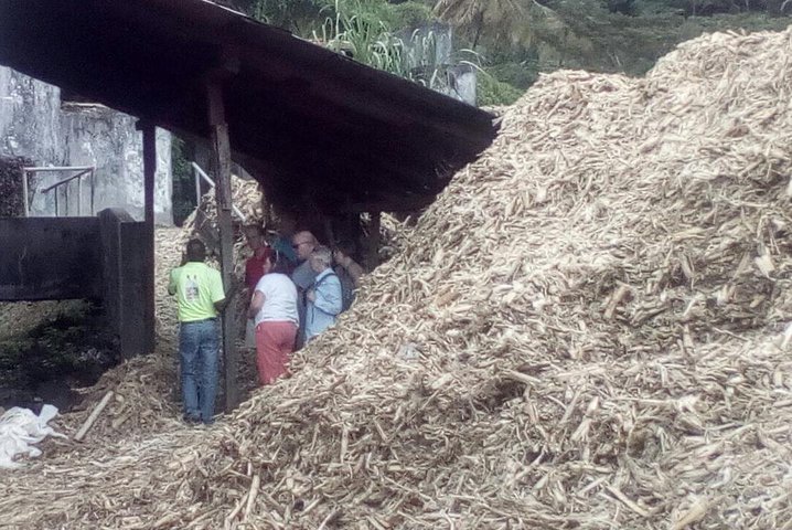 Full-Day Tour: Concord Waterfall, Chocolate Factory, Rum Distillery, Grand Etang