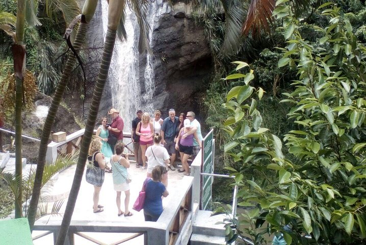 Full-Day Tour: Concord Waterfall, Chocolate Factory, Rum Distillery, Grand Etang