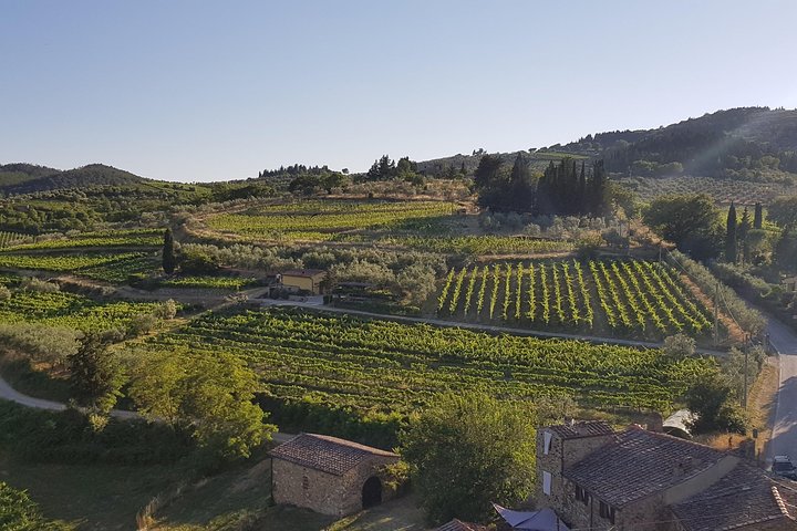 Montefioralle Winery - Tour and Wine Tasting in Chianti