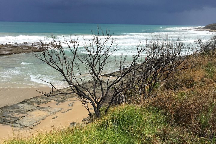 3-Day Melbourne to Adelaide Tour Including the Great Ocean Road