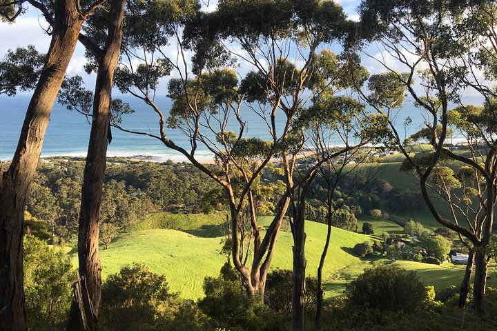 3-Day Melbourne to Adelaide Tour Including the Great Ocean Road