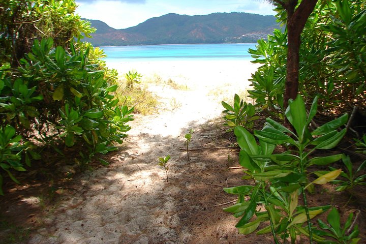 La Digue, Curiuese, St. Pierre, Anse Lazio by boat from Mahe (Private Boat)