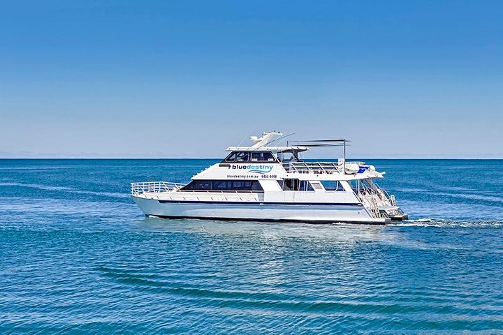 Rottnest Island Boat Dive Day Trip including Lunch