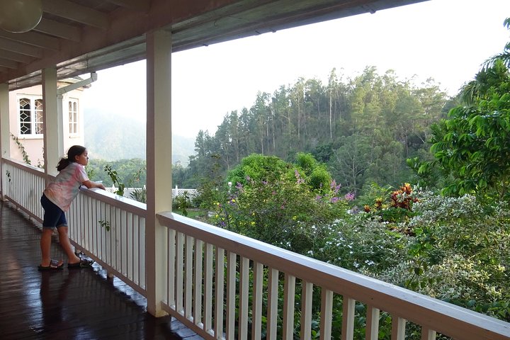 Blue Mountain Coffee and Sightseeing Tour