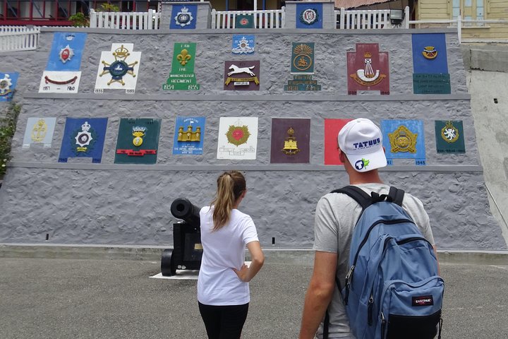 Blue Mountain Coffee and Sightseeing Tour