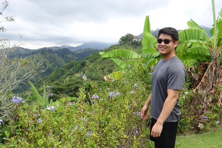 Blue Mountain Coffee and Sightseeing Tour