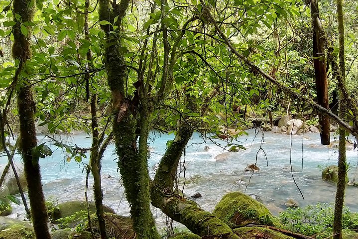 Private 4 in 1 Rainforest, Blue River, Mud Bath, Hot Springs