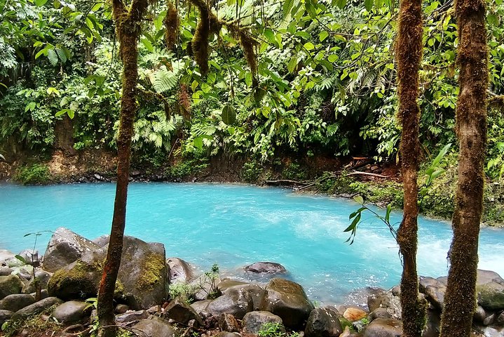 Private 4 in 1 Rainforest, Blue River, Mud Bath, Hot Springs