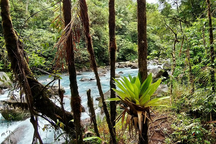 Private 4 in 1 Rainforest, Blue River, Mud Bath, Hot Springs