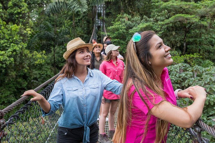 Arenal volcano, hanging bridges and sloth encounter tour.